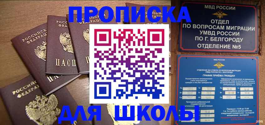 прописка гарантия в Бронницах